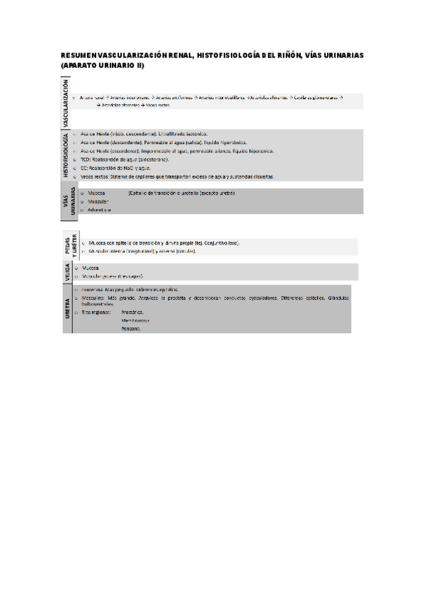 Miniatura del documento RESUMEN-VASCULARIZACION-RENAL-HISTOFISIOLOGIA-DEL-RINON-VIAS-URINARIAS-APARATO-URINARIO-II.pdf