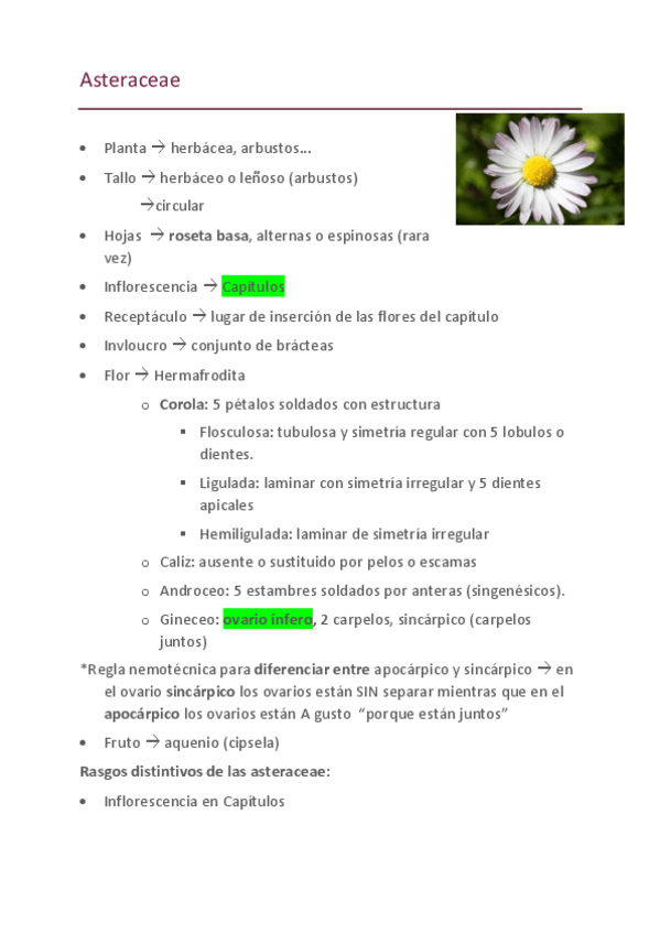 Miniatura del documento Practicas-Botanica.pdf