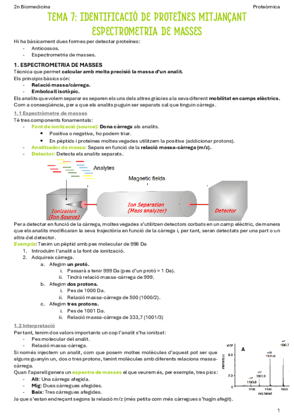 Miniatura del documento T7-Identificacio-de-proteines-mitjancant-espectrometria-de-masses.pdf