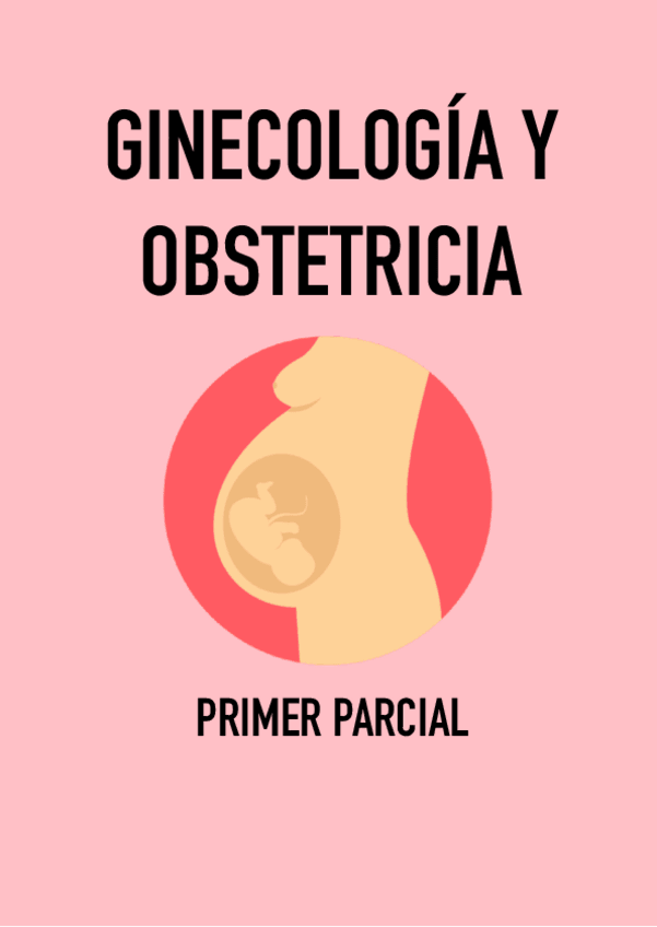 Miniatura del documento ESQUEMAS-OBSTETRICIA-1o-PARCIAL.pdf