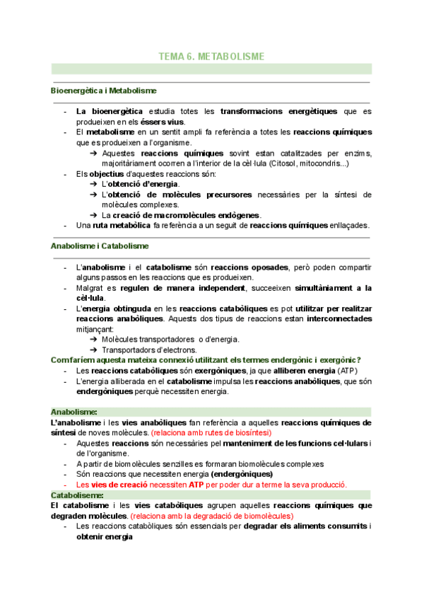 Miniatura del documento TEMA-6.-METABOLISME.pdf