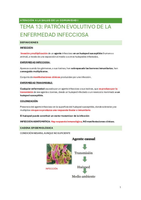 Miniatura del documento TEMA-13-ATENCION.pdf