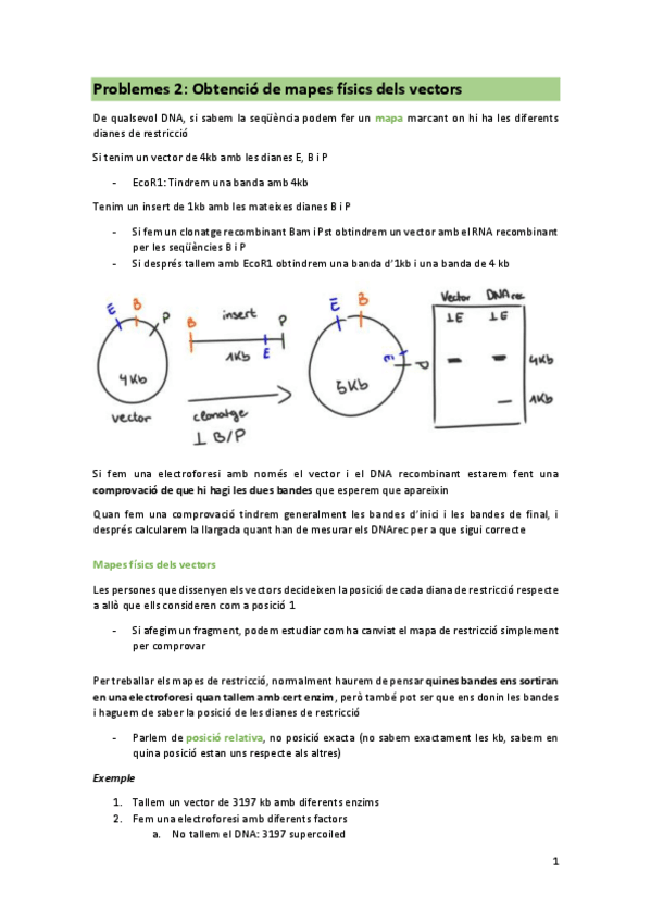 Miniatura del documento Problemes-mapes-fisics.pdf