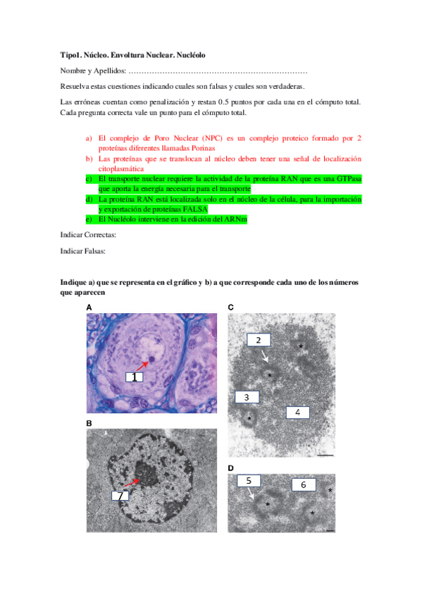 Miniatura del documento BC-TEMA-4-examen-parcial.docx