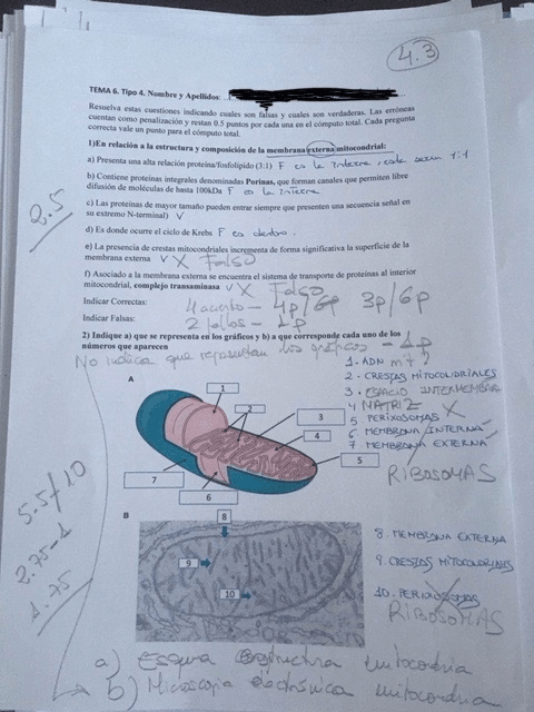 Miniatura del documento examen-parcial.jpg