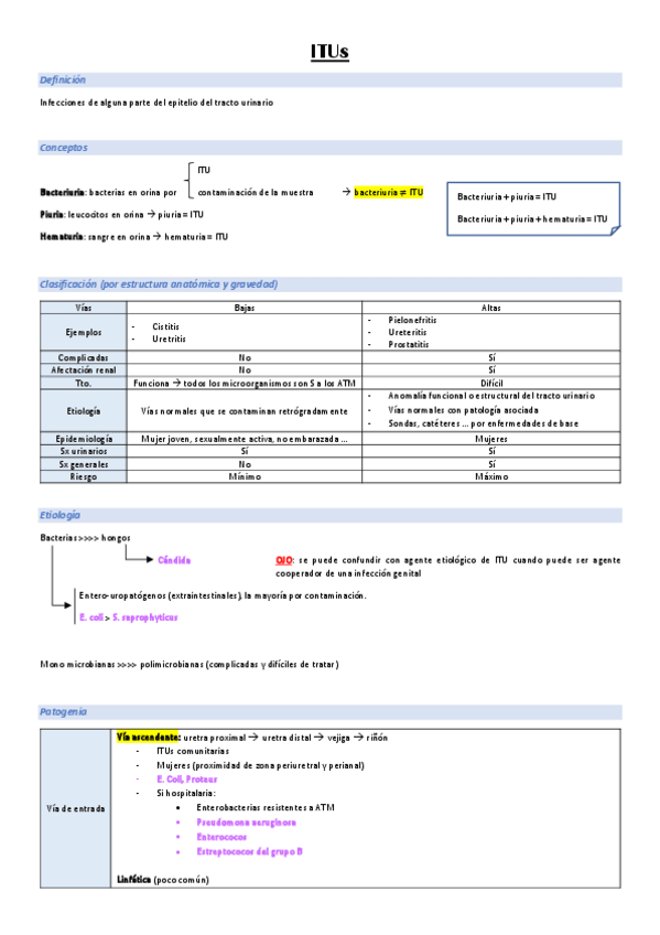 Miniatura del documento ITUs.pdf
