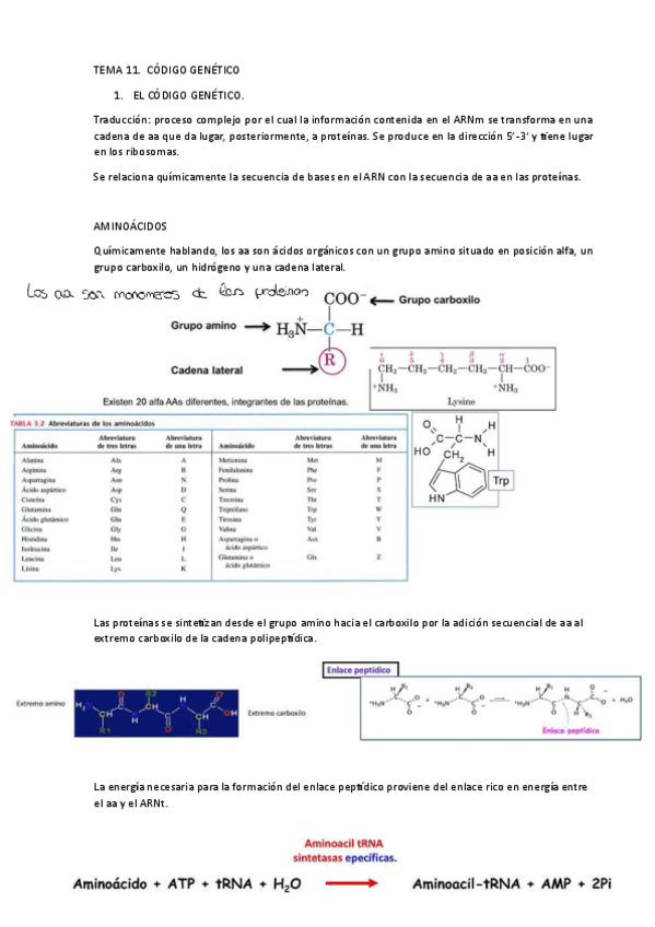 Miniatura del documento TEMA-11.pdf