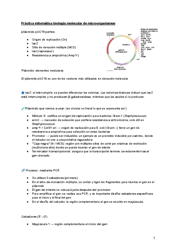 Miniatura del documento practica-informatica.pdf