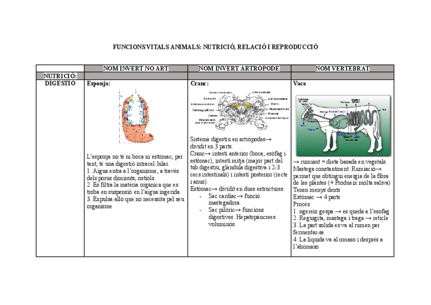 Miniatura del documento FUNCIONS-VITALS-ANIMALS.pdf