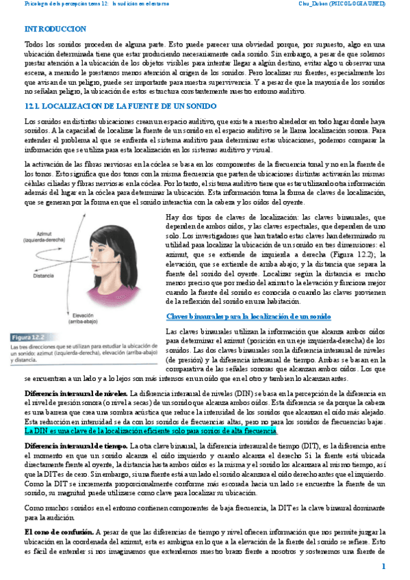 Miniatura del documento resumen-percepcion-tema-12-2025.pdf
