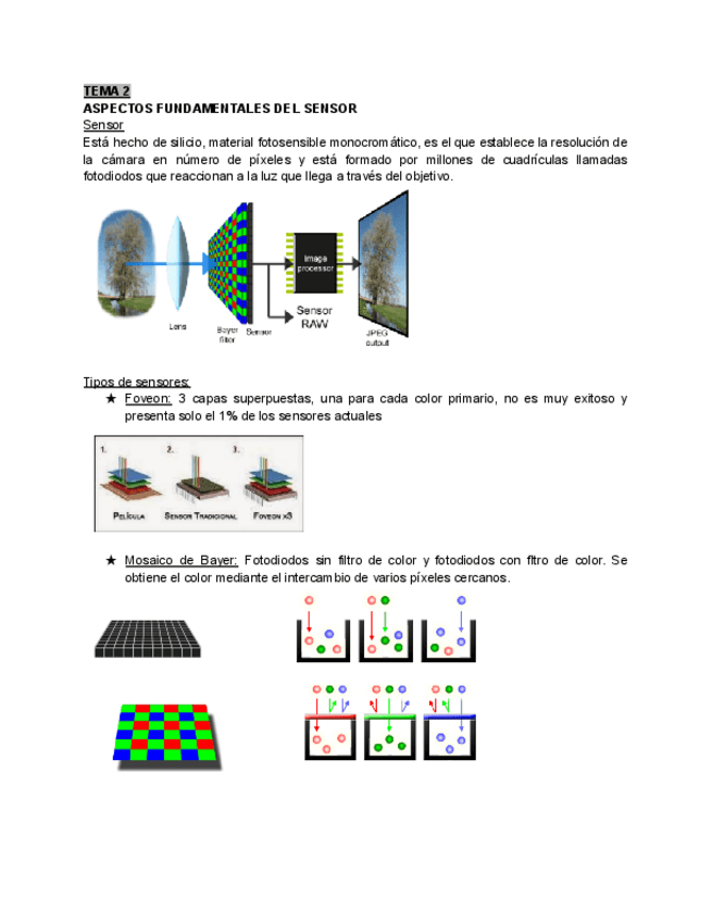 Miniatura del documento TECNOLOGIA-II-TEMA-2.pdf