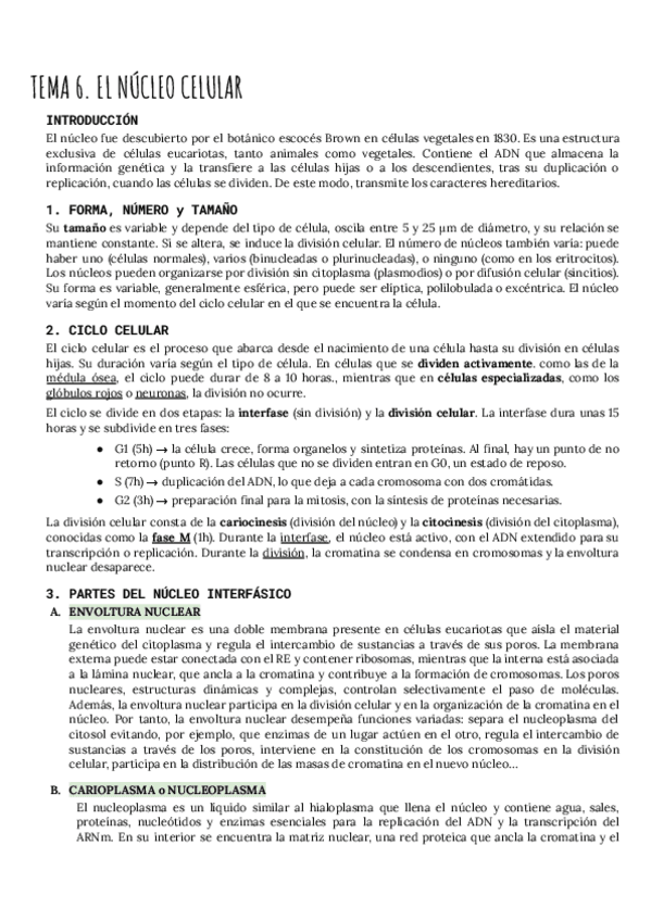 Miniatura del documento Nucleo-celular.pdf