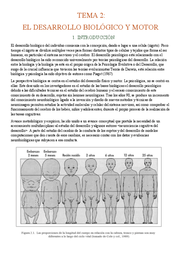 Miniatura del documento TEMA-2-EL-DESARROLLO-BIOLOGICO-Y-MOTOR.pdf