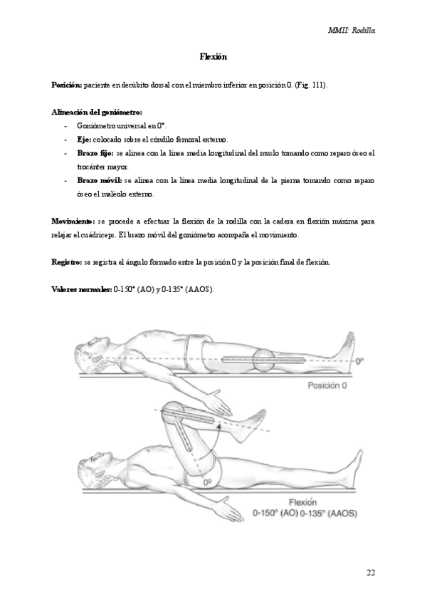 Miniatura del documento rodilla.pdf