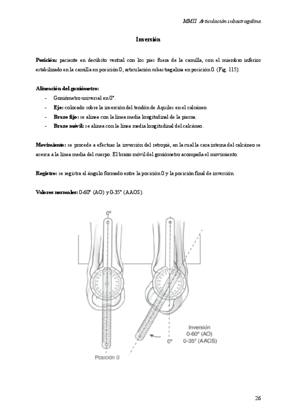 Miniatura del documento Subastragalina.pdf