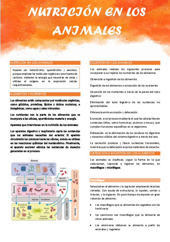 Miniatura del documento NUTRICION-EN-LOS-ANIMALES.pdf