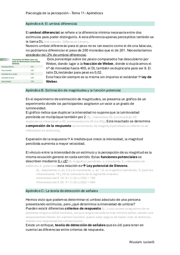 Miniatura del documento T.11-P.-Percepcion.pdf