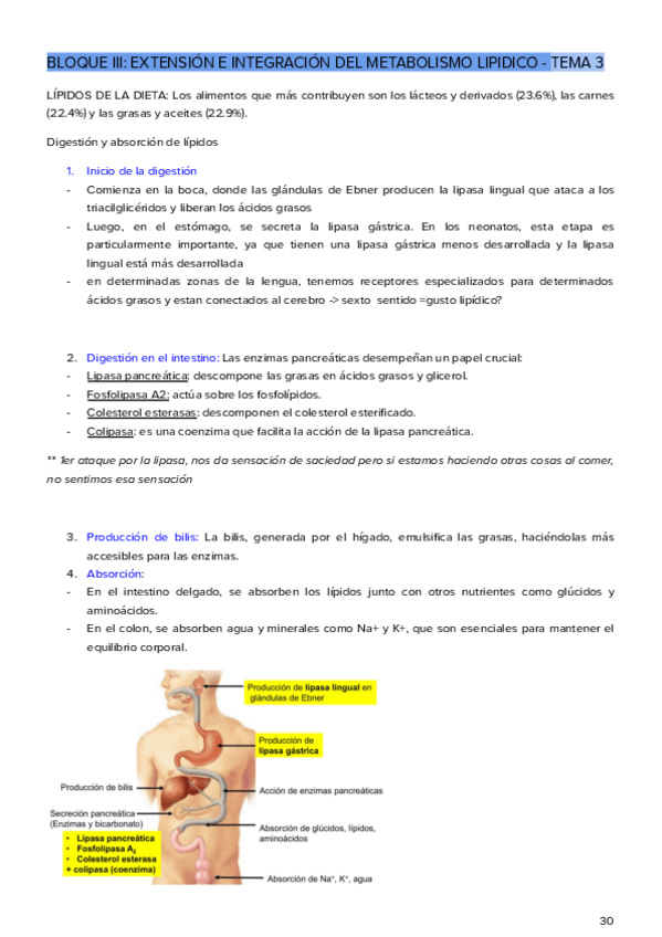 Miniatura del documento Bloque-III-Extension-e-Integracion-del-metabolismo-T4.pdf.pdf