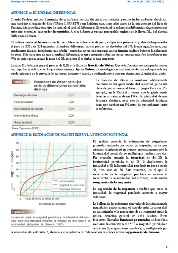Miniatura del documento resumen-apendice-percepcion-2025.pdf