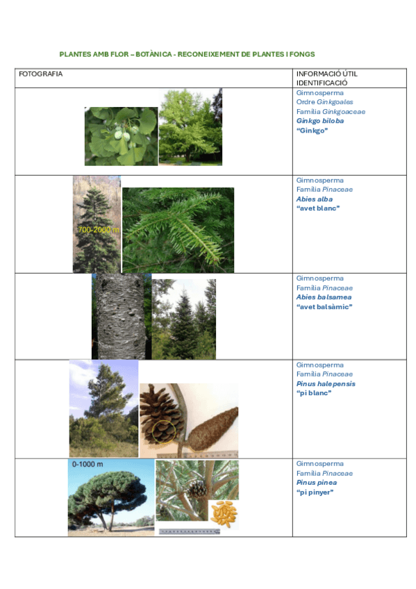 Miniatura del documento TOTES-LES-PLANTES-I-FONGS-PER-PRACTICAR-LA-IDENTIFICACIO.pdf