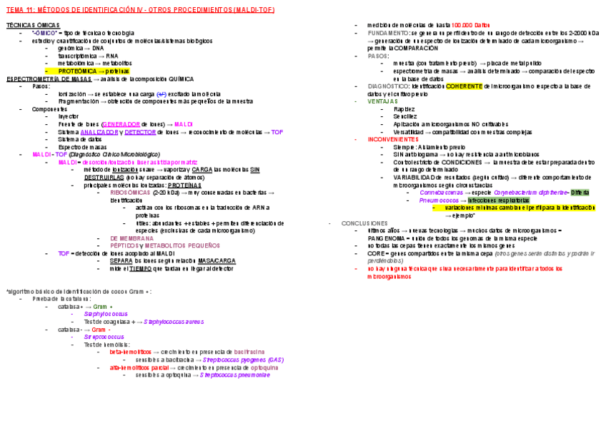 Miniatura del documento ESQUEMA-TEMA-11-MICRO.pdf