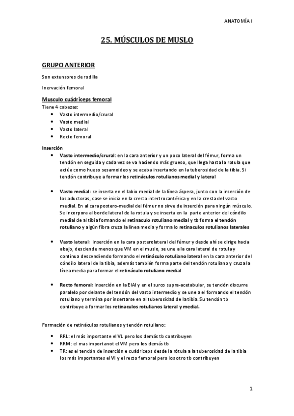 Miniatura del documento MMII-MUSLO.pdf