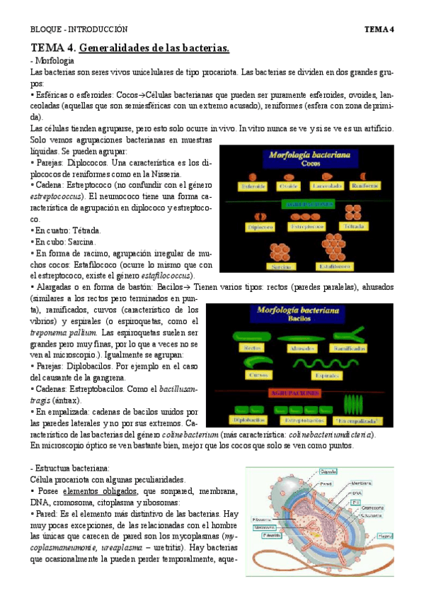 Miniatura del documento T4 gen bacterias.pdf