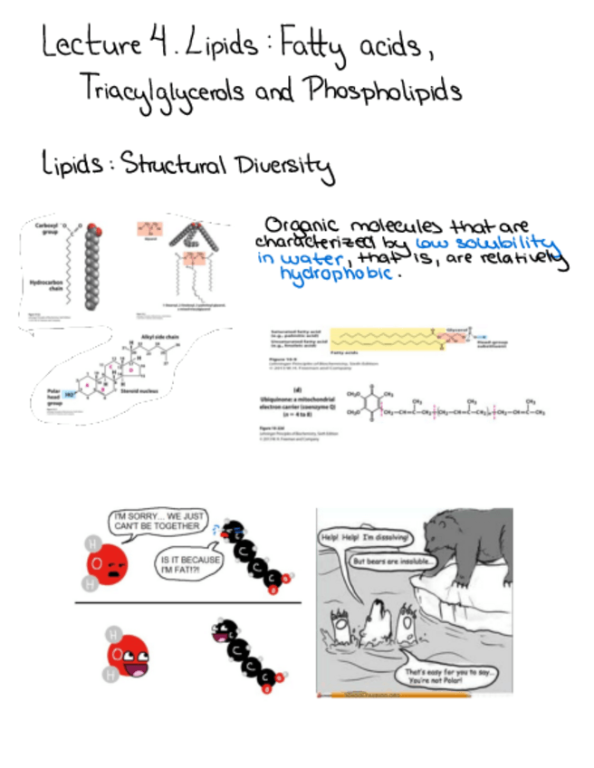 Miniatura del documento SFB-Lecture-4.pdf