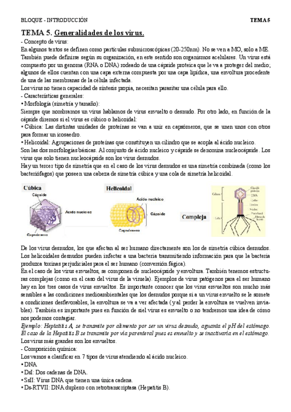 Miniatura del documento T5 gen virus.pdf
