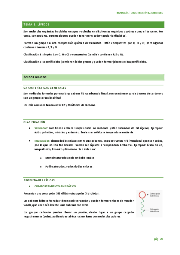 Miniatura del documento TEMA 3: lípidos.pdf