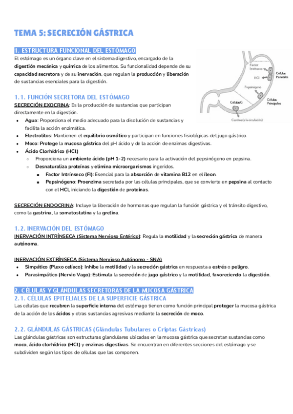 Miniatura del documento TEMA-5-SECRECION-GASTRICA.pdf