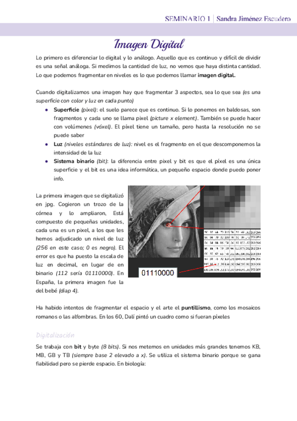 Miniatura del documento Seminario-1-Imagen-Digital.pdf
