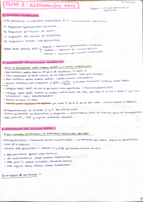Miniatura del documento Tema 3: Reparaciones del ADN.pdf