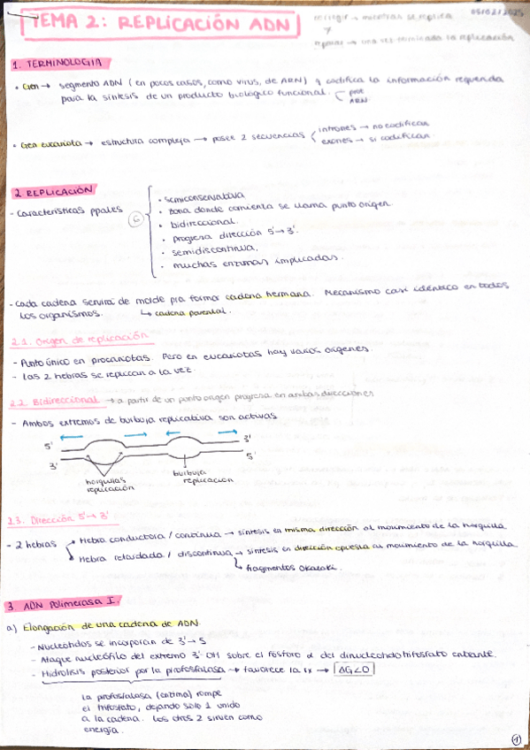 Miniatura del documento Tema 2: Replicación del ADN.pdf