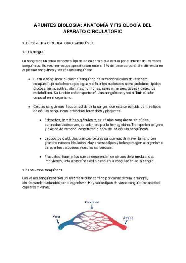 Miniatura del documento Anatomia-y-fisiologia-del-aparato-circulatorio.pdf