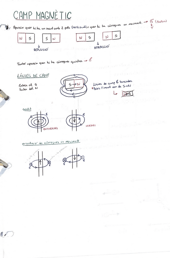 Miniatura del documento CAMP-MAGNETIC.pdf