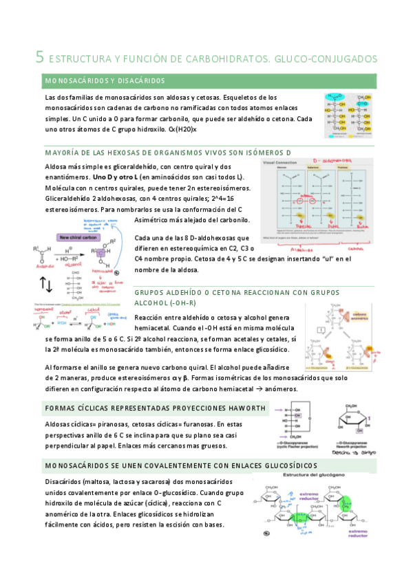 Miniatura del documento B5.pdf