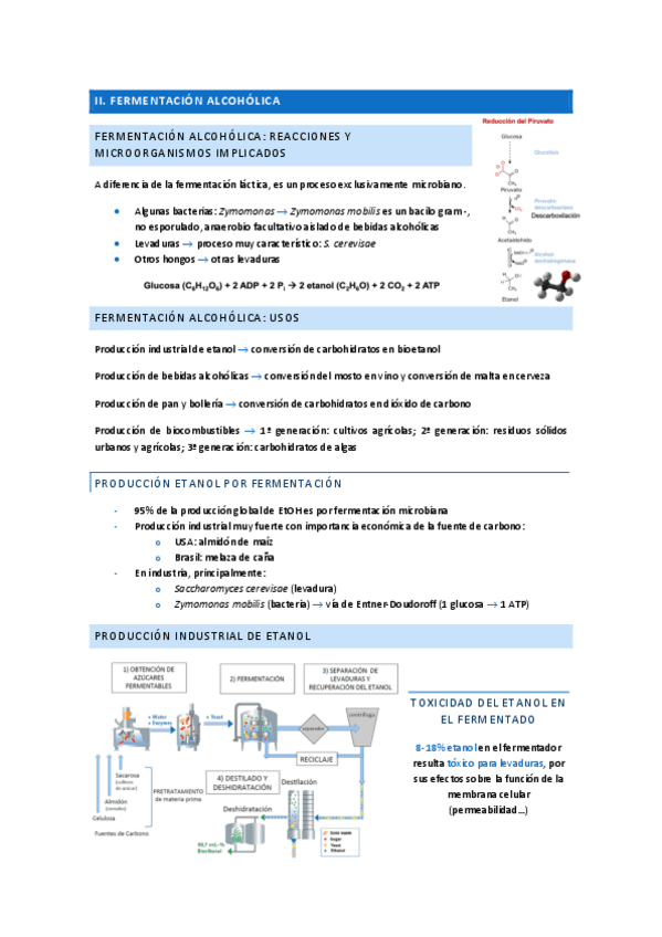 Miniatura del documento T6-II.-Fermentacion-alcoholica.pdf