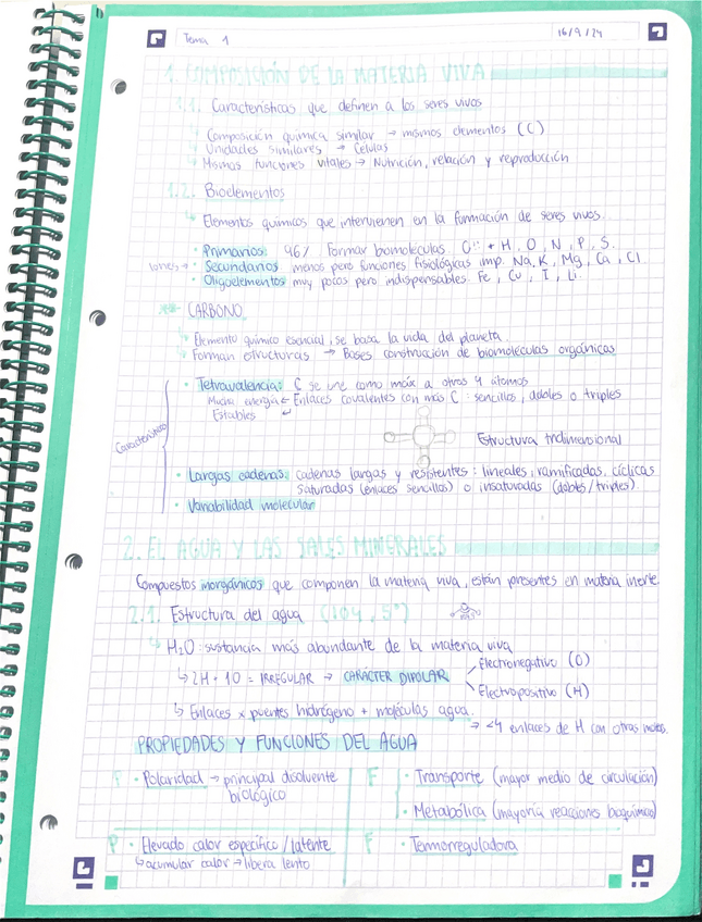 Miniatura del documento Composicion-materia-viva.pdf