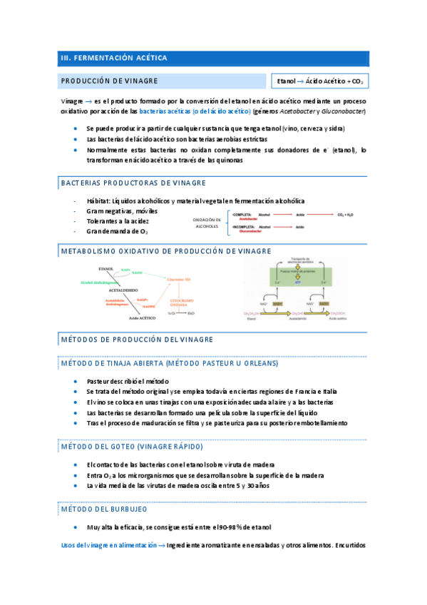 Miniatura del documento T6-III.-Fermentacion-acetica.pdf