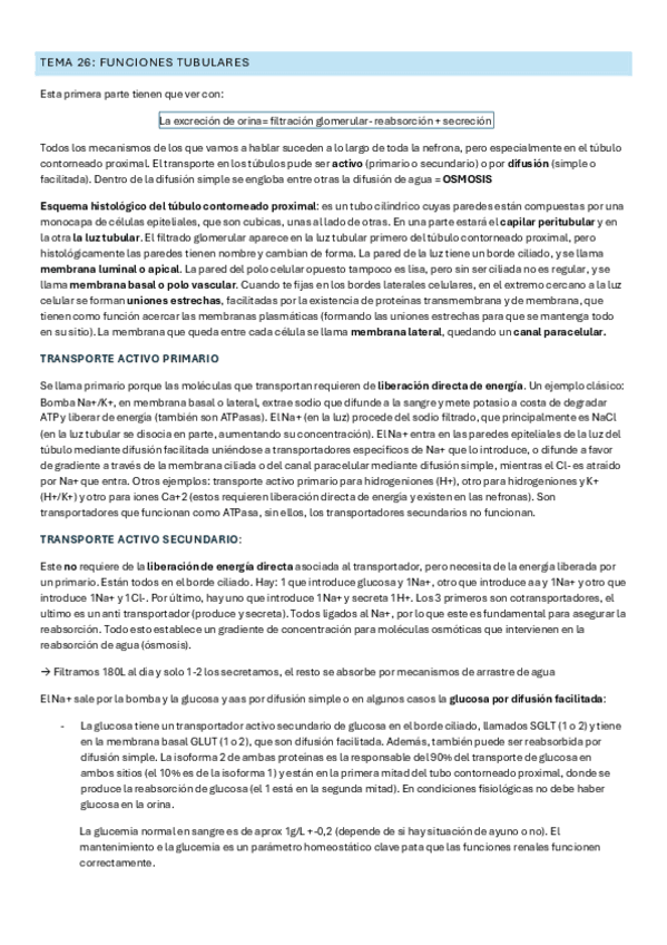 Miniatura del documento tema-26-fisio.pdf