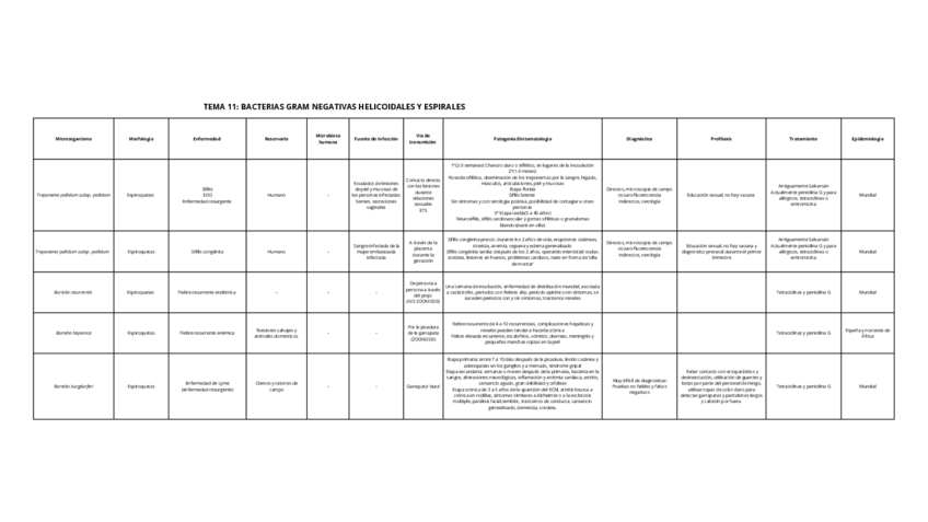 Miniatura del documento TEMA-11-BACTERIAS-GRAM-NEGATIVAS-HELICOIDALES-Y-ESPIRALES.pdf