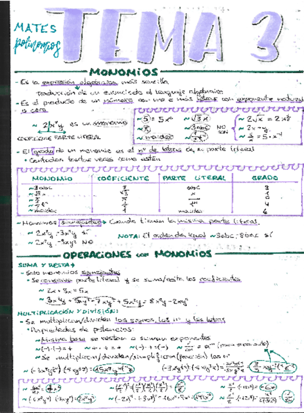 Miniatura del documento Tema-3-polinomios.pdf