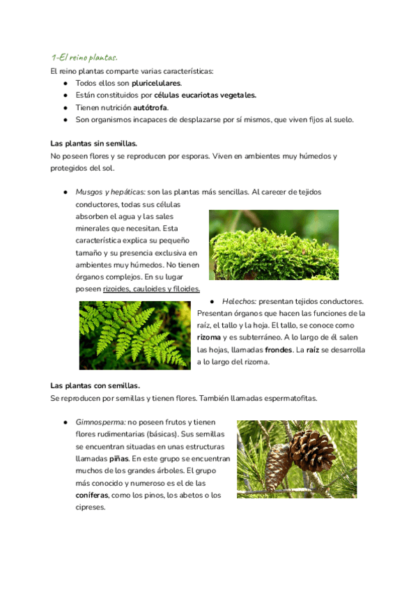 Miniatura del documento Biologia-9-LAS-PLANTAS.pdf