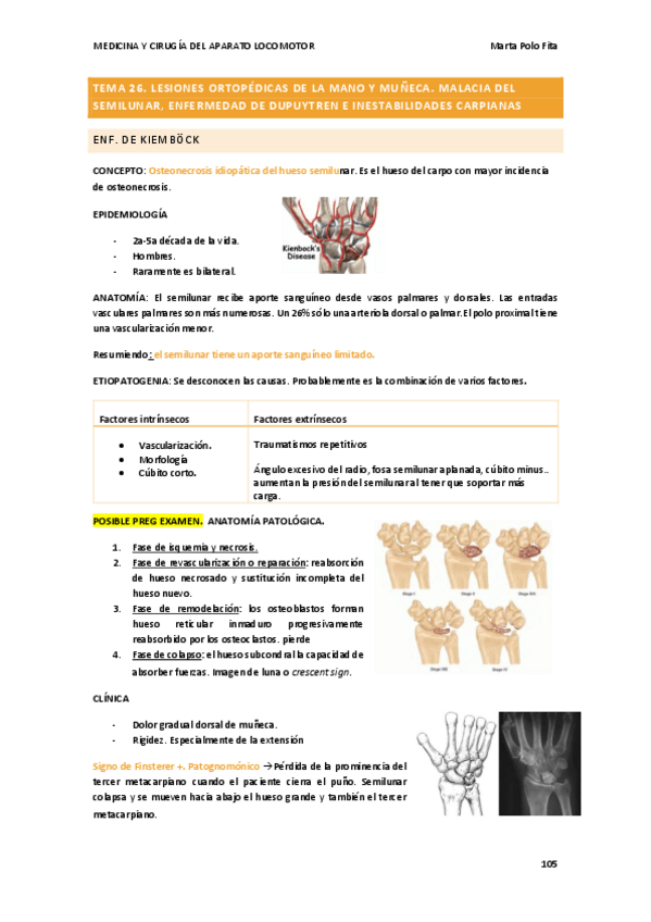 Miniatura del documento TEMA-26-TRAUMA.pdf