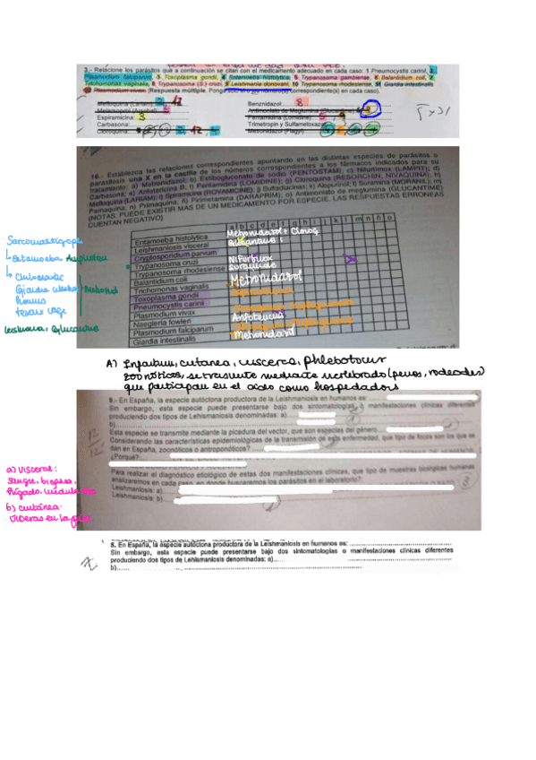 Miniatura del documento Protozoos.pdf