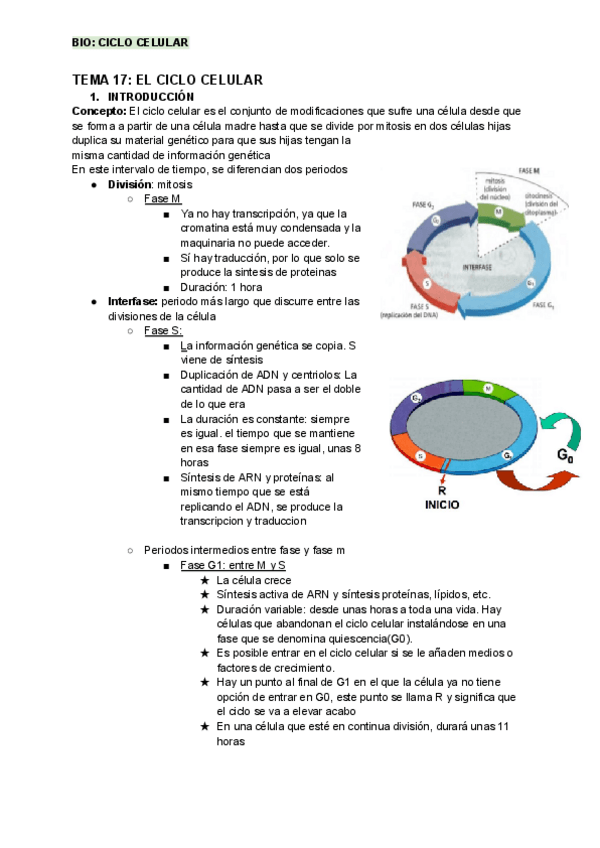 Miniatura del documento BIOLOGIA-CICLO-CELULAR.pdf