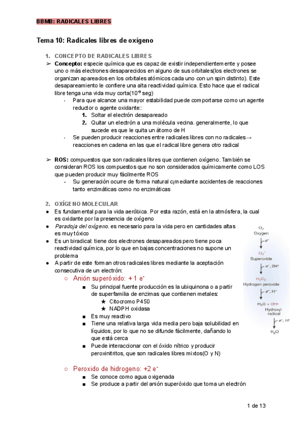 Miniatura del documento BBMB-RADICALES-LIBRES.pdf