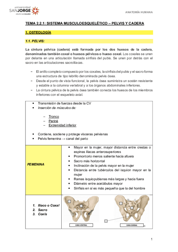 Miniatura del documento T2.2.1.pdf