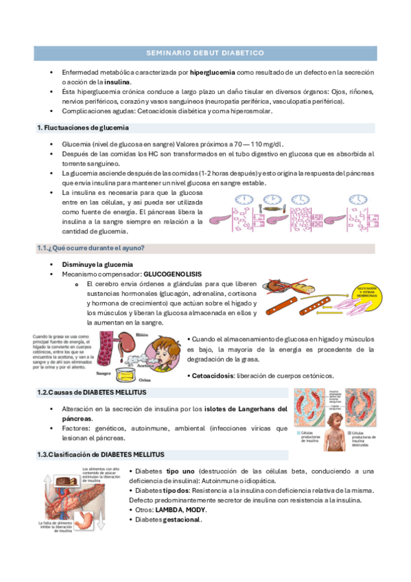 Miniatura del documento SEMINARIO-DEBUT-DIABETICO.pdf